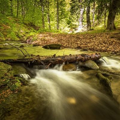 环球体育官网下载